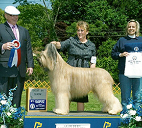 Capone Best in Show