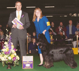 Sparkles wins the breed at Westminster